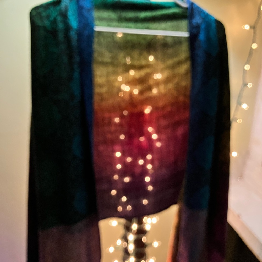 Pashmina Multicolor Paisley Scarf